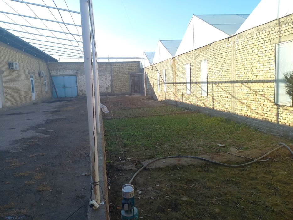 Tadbirkorlik bilan shugulanish uchun (chorvachili, issiqxona)