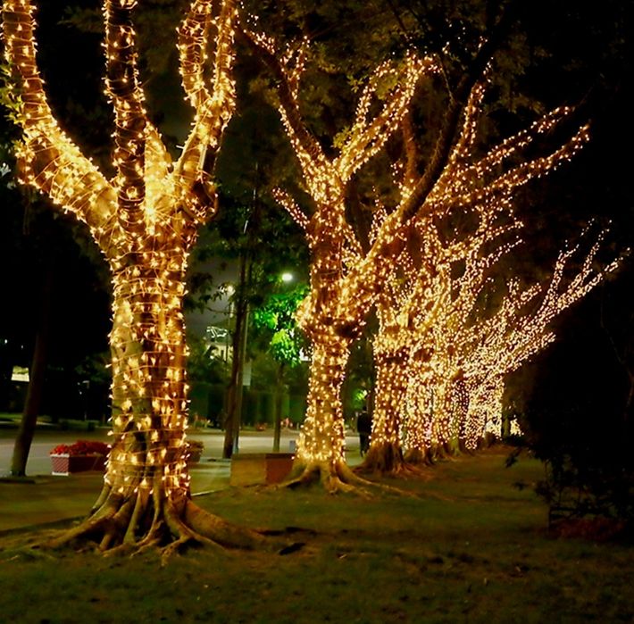 Гирлянда нить белая 10, 50 метров