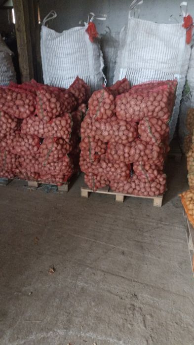 Cartofi consum alb si rosu