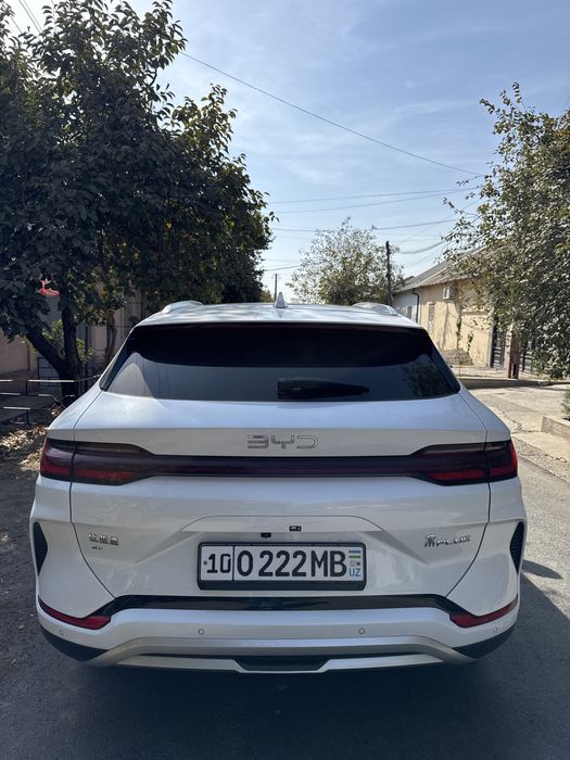 BYD chempion restayling 24/25