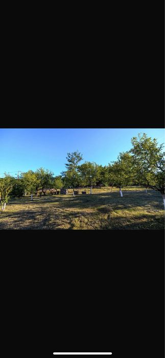 Inchiriez cabana in mijlocul naturii