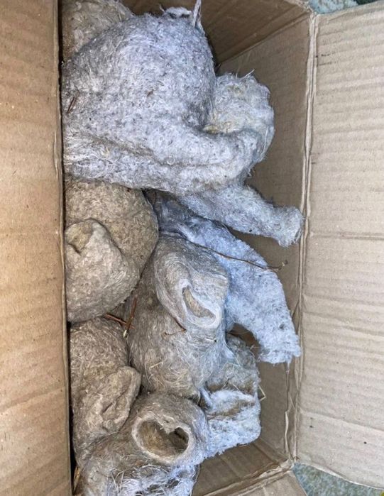 Құрқылтайдың Ұясы сатылады