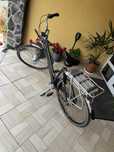 Biciclete electrica
