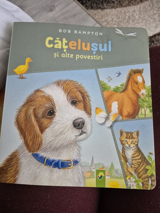Cărți copii educative