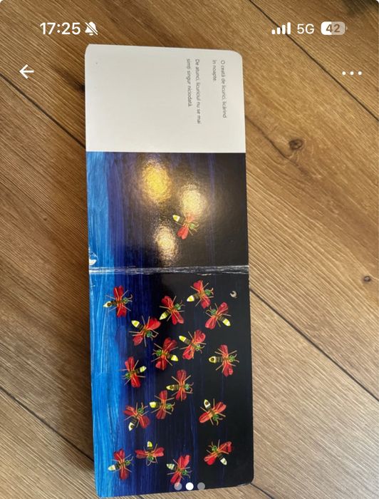 Carte Licurici isi cauta amici