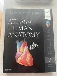 Atlas anatomie Netter editia 7 engleza