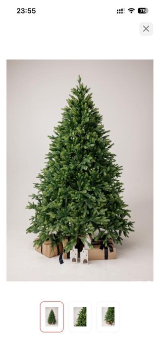 Ель королевская литая высокая пышная