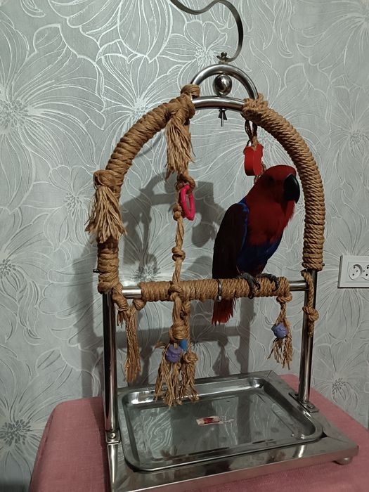 Стенд игровая для попугаев