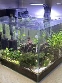 Живой аквариум продам