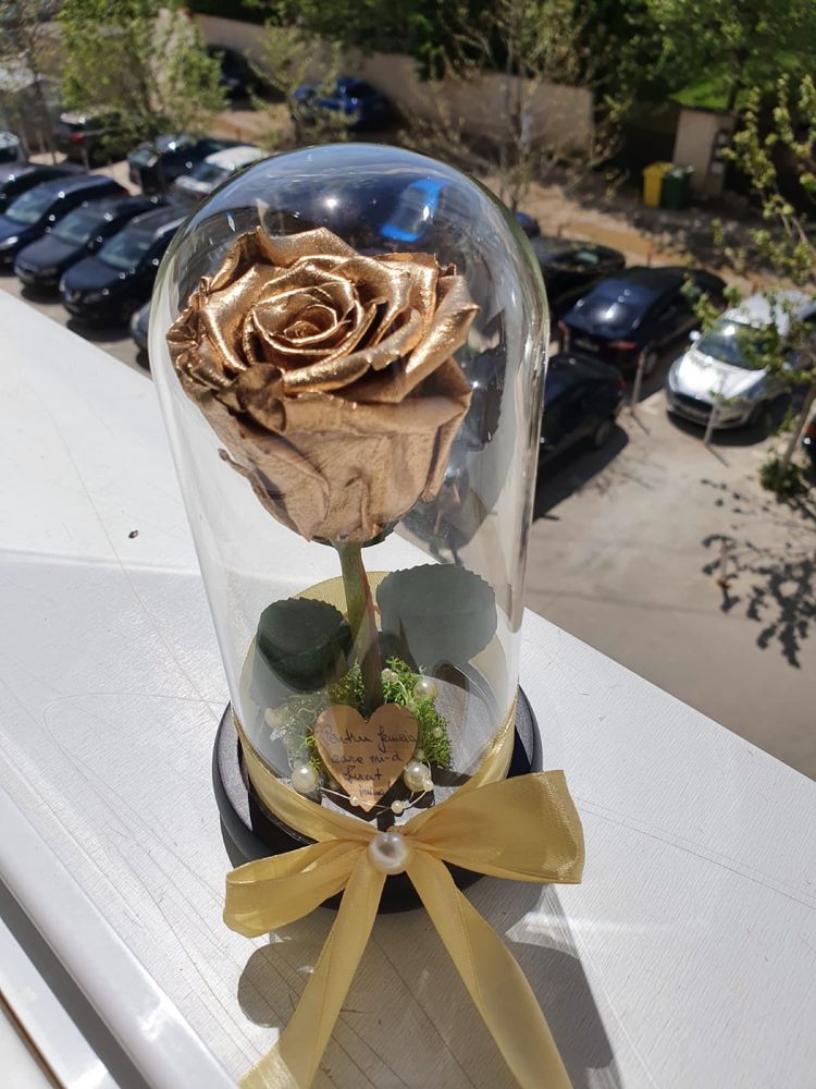 Cupola cu trandafir auriu cu inaltime de 20 cm 120 lei