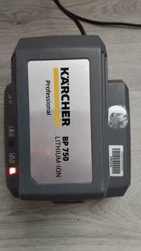 Професионална серия Karcher батерия и зарядно