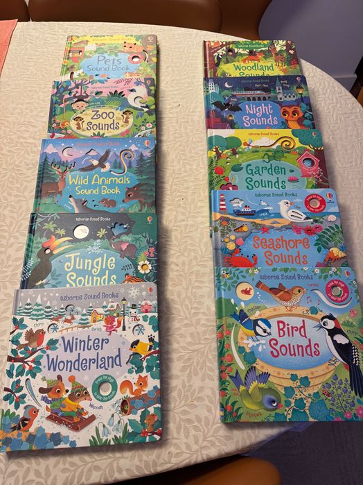 Usborne sound books