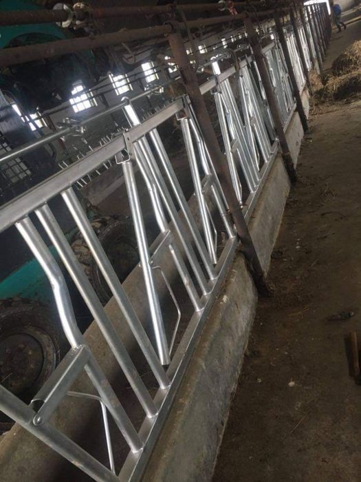 Front de Furajare Bovine noi