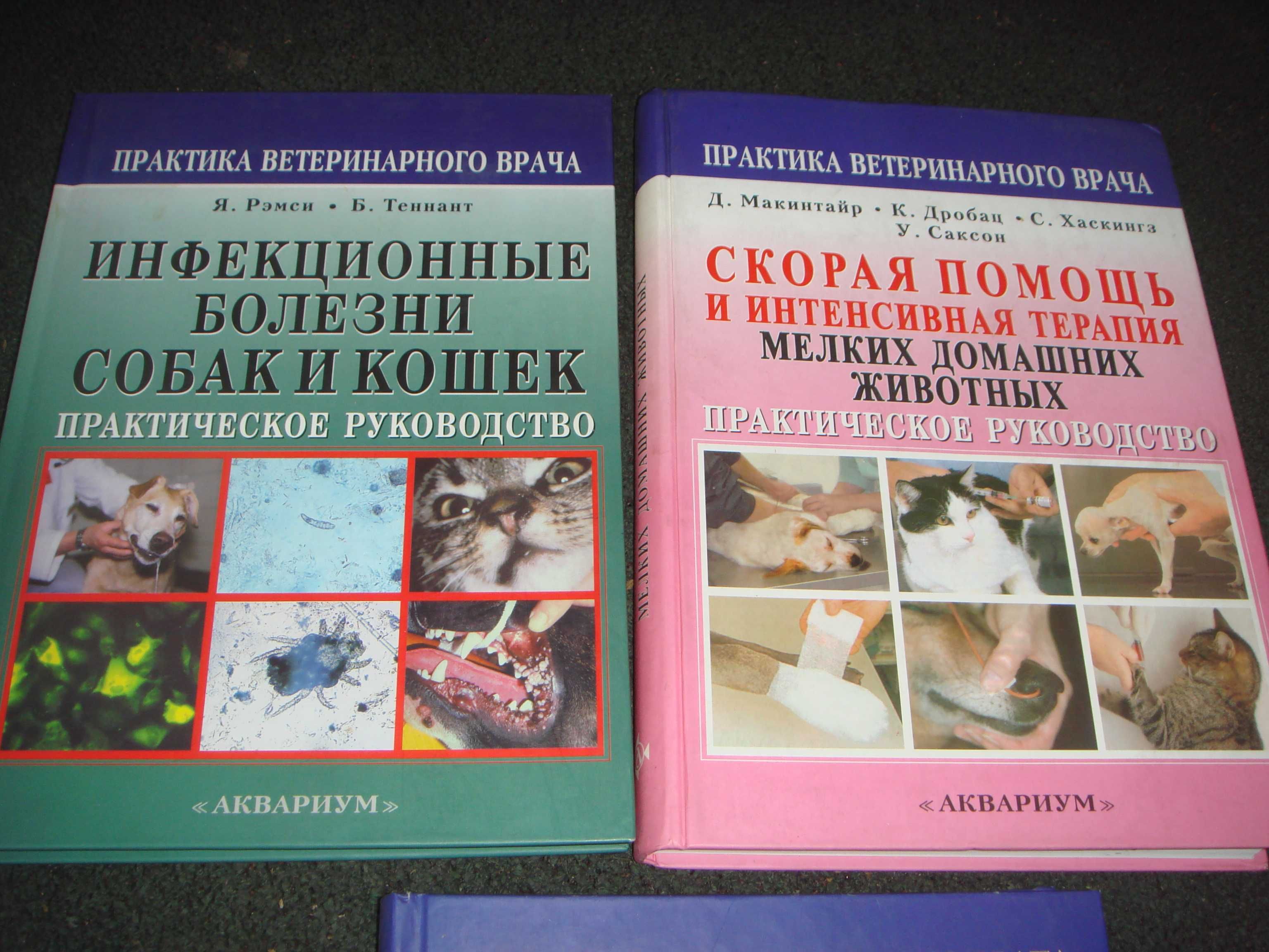 Книги по лечению и операциям для кошек и собак Альбомного Формата