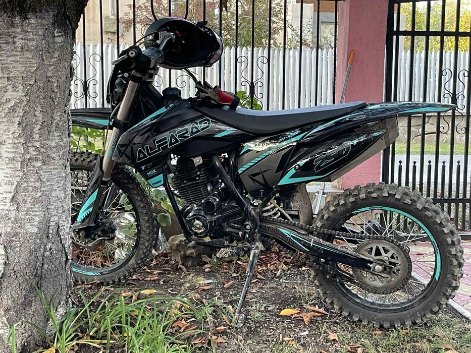 Alfarad 250 2024
