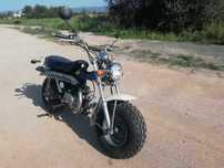 Skyteam T REX 125cc!