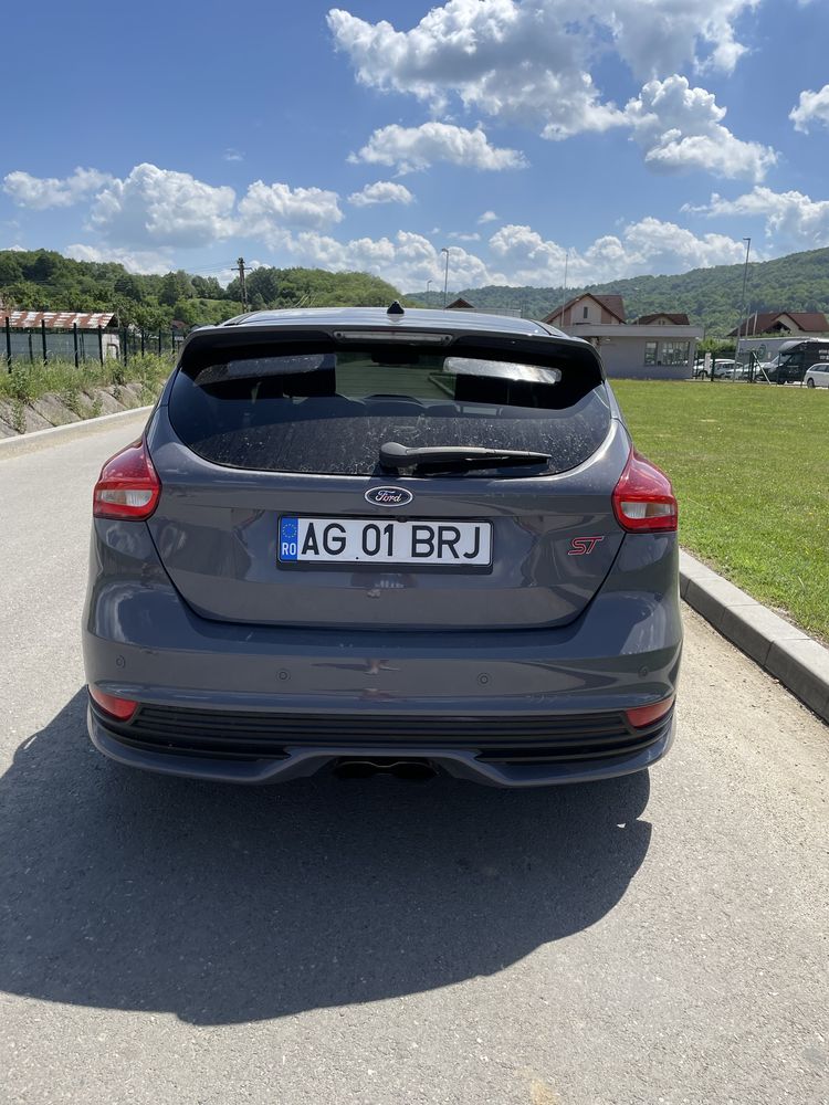 Ford Focus ST lovit