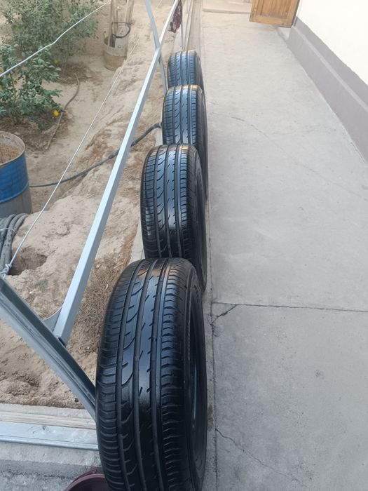 Cantinental 34-hafta 2024-yil