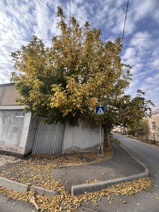 Бесплатно дерево на дрова, мебель на дрова
