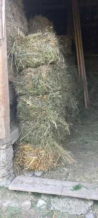 Vand baloti de fan si otava