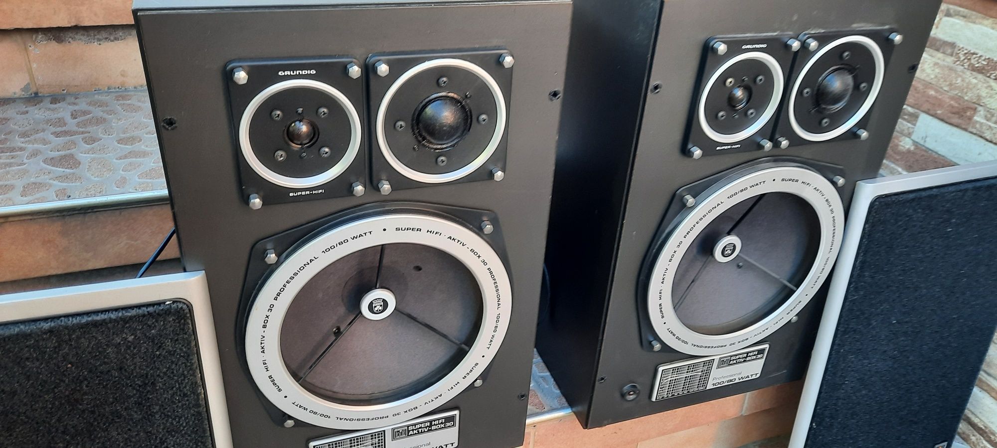 Grundig Profesional Box30  Тонколони с Усилвател