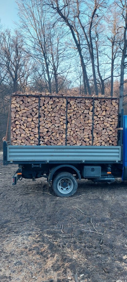 Lemn foc esență tare