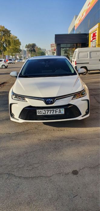 Toyota Carolla Hybrid 1.8