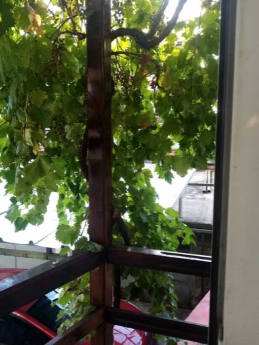 Дава се под наем Едностаен апартамент в Пловдив, Гагарин - 40 кв.м за 200 € - Снимка #2