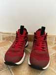 Nike LeBron 4 Witness