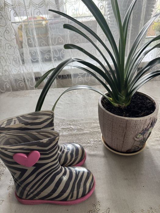 Резиновые сапоги испания 27 размер