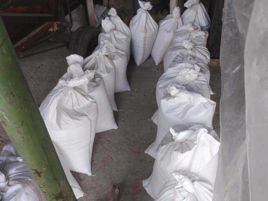 Vand 250kg grau recolta 2025, pret 1 leu/kg
