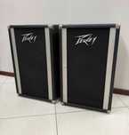 Професионални ретро двулентови тонколони Peavey 112 PT PA - 100-200W