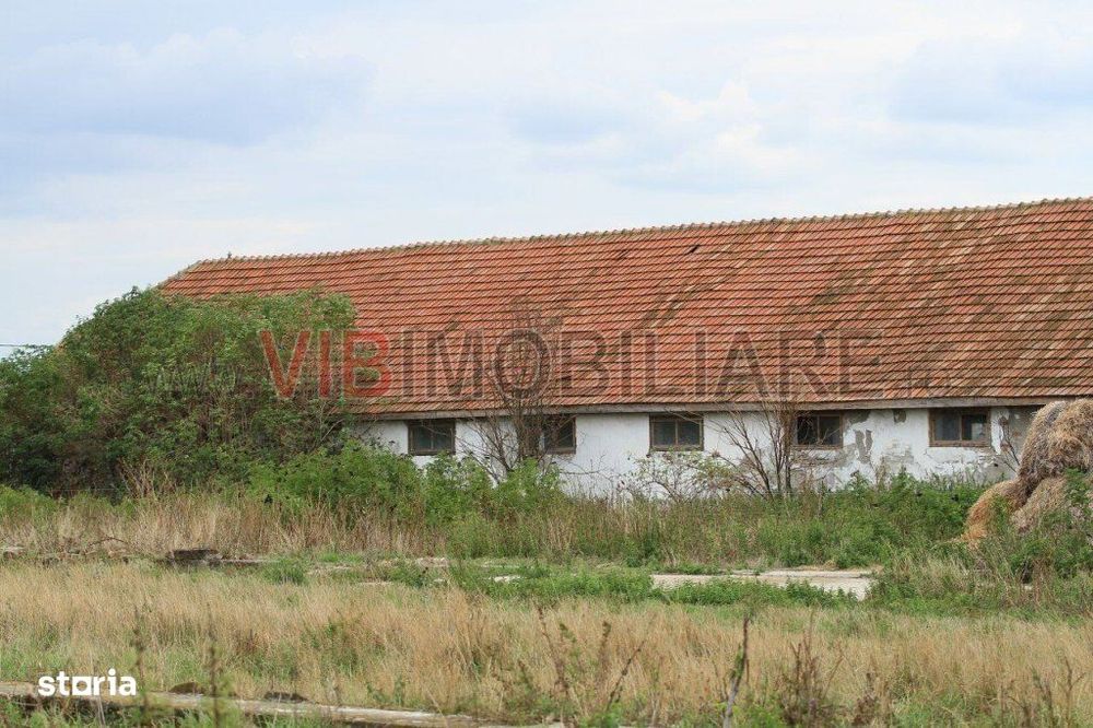 Ferma Zootehnică Mixtă – Cernateaz, Timiș | 9,5 ha | Hale Moderne
