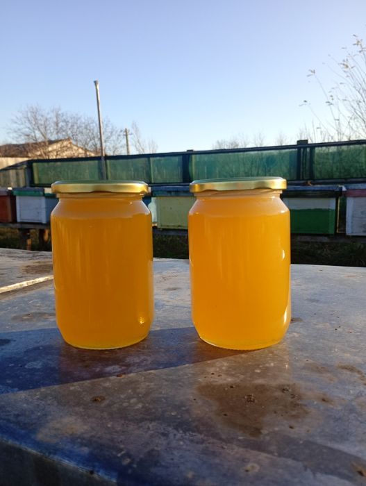 Vând miere de albine producție 2025