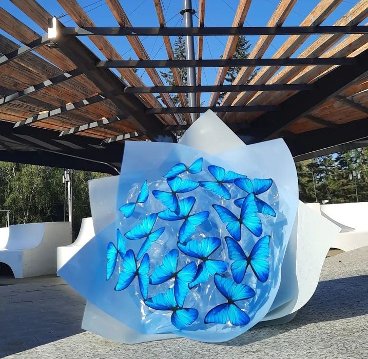 Букет бабочки подарок красиво 8 марта стильно поздравление сюрприз вау