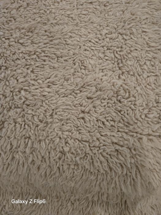 Български китеници