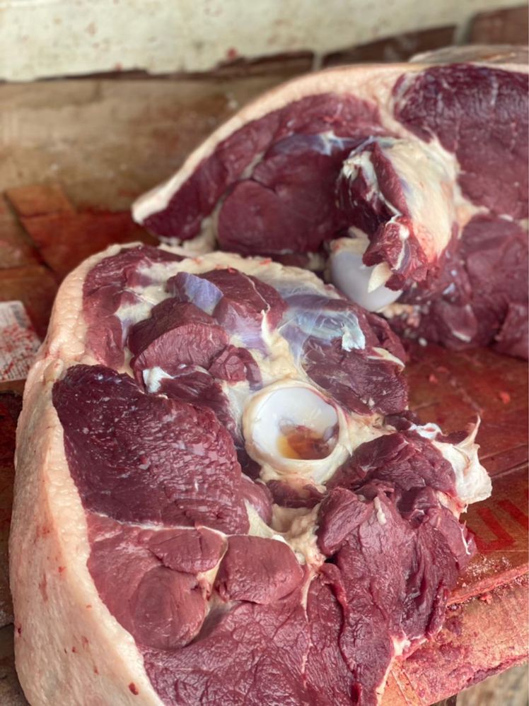 Свежее и жирное сочное мясо конины Костанай Тобыл
