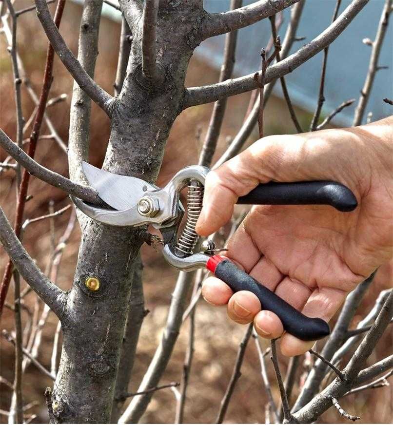 Foarfeca din otel pentru gradina Vita de vie plante pomi