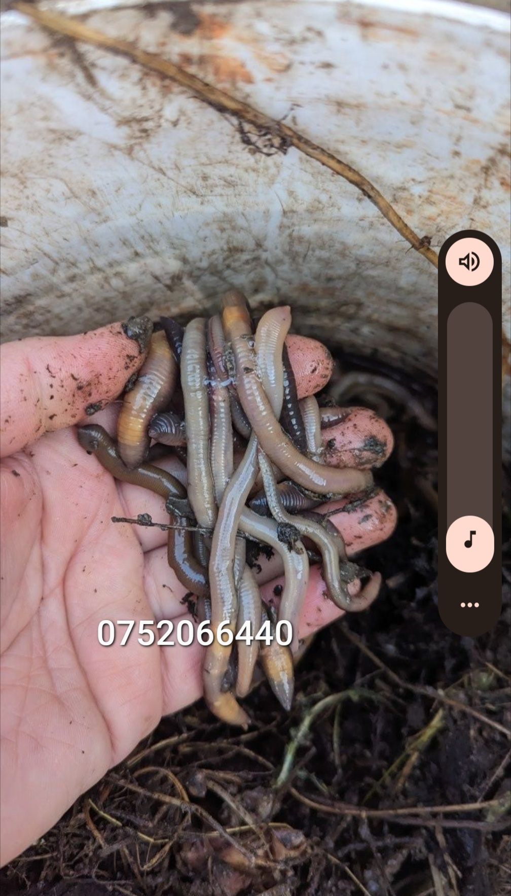 Vând rame groase negre rosii pentru pescuit la somn