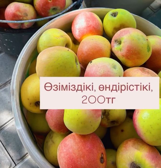 Яблоки, со своего домашнего сада