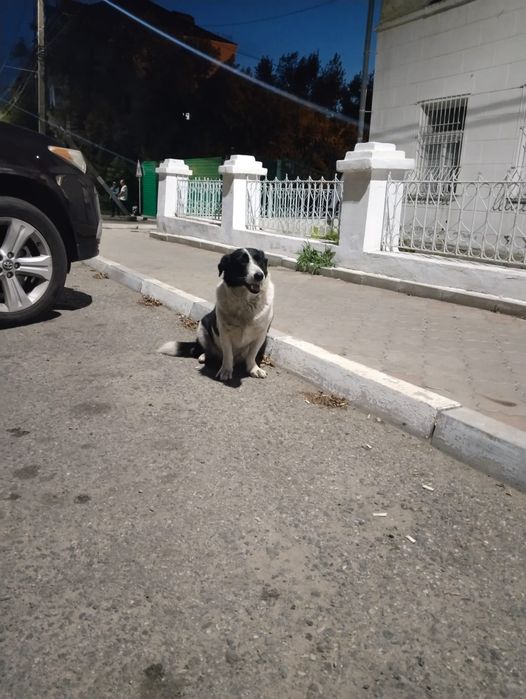 Помогите Найде найти дом