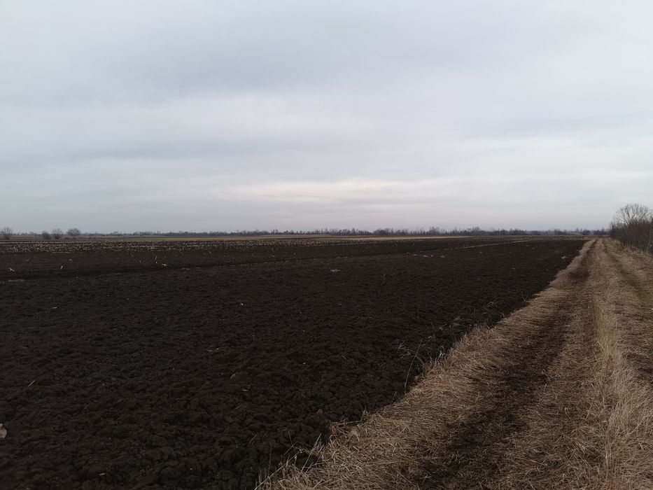 Teren extravilan Horodnic de jos, zona Killer