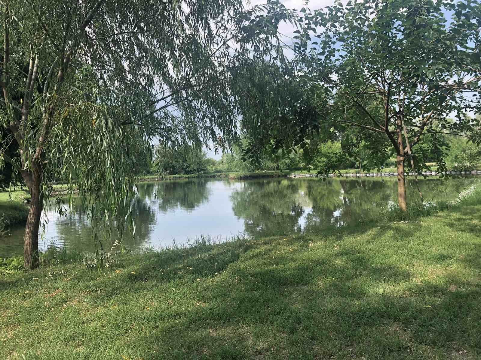 Рибарник  водни площи
