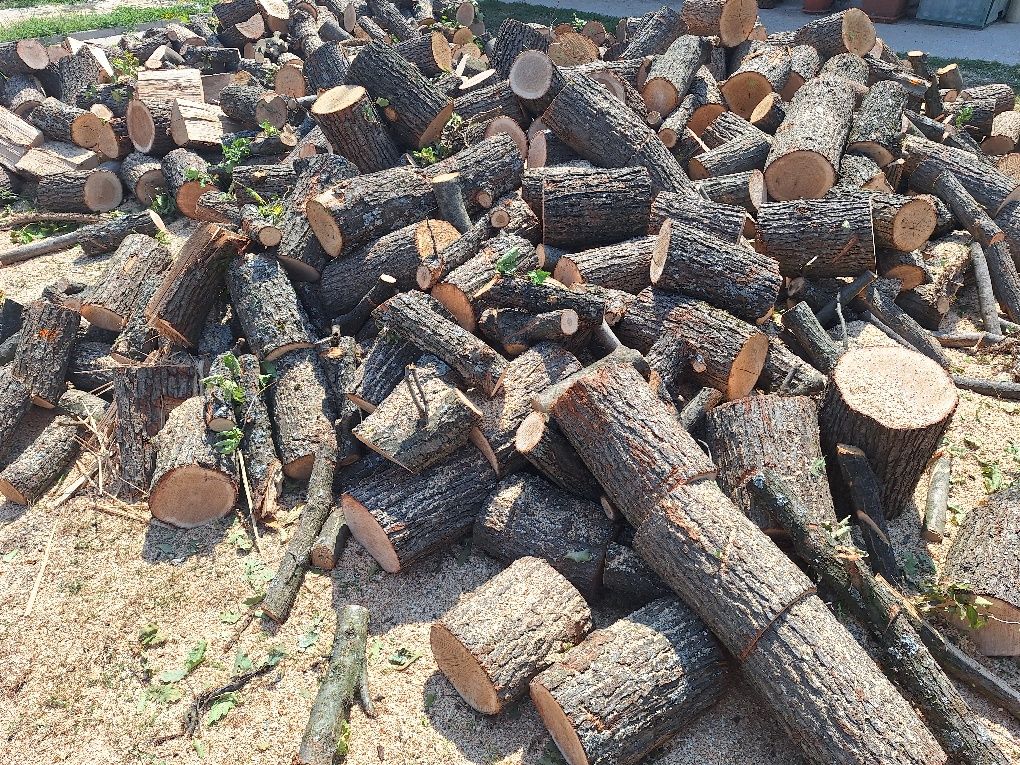 Рязане на дърва за огрев по домовете .