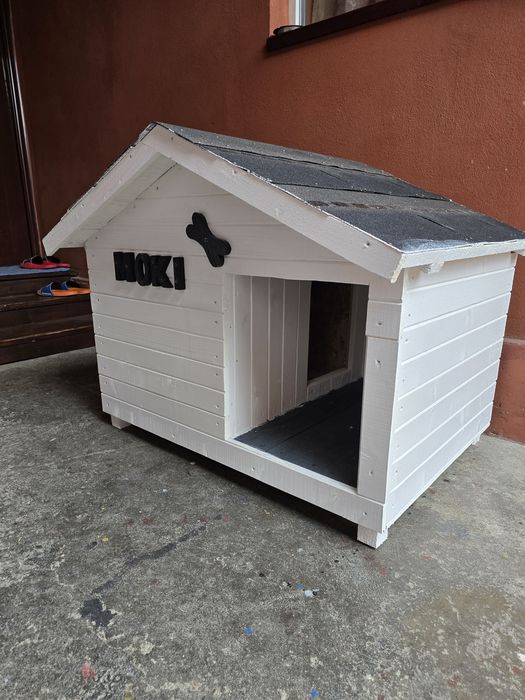 Cotete/cușcă! Câine