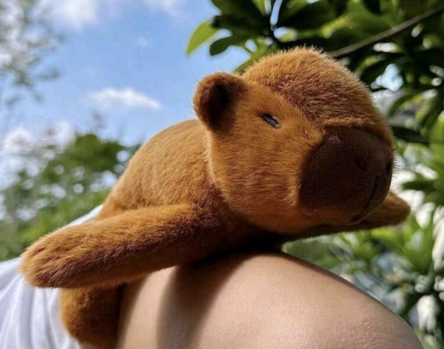 Set jucărie de pluș Capybara