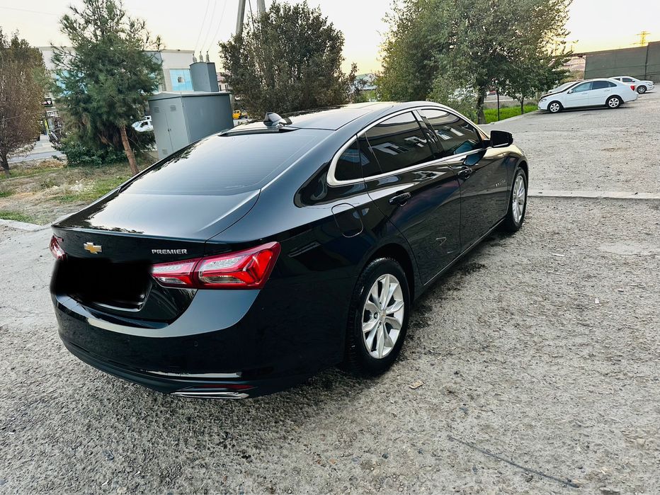 Malibu primier 2022 ideal.