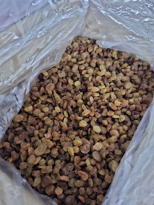 Stafide Brune Iran bax 5kg