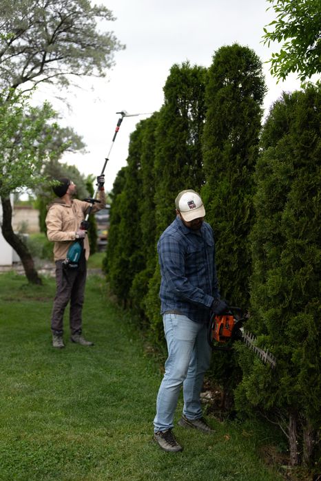 greenscape - peisagistica, gradinarit, intretinere spatii verzi