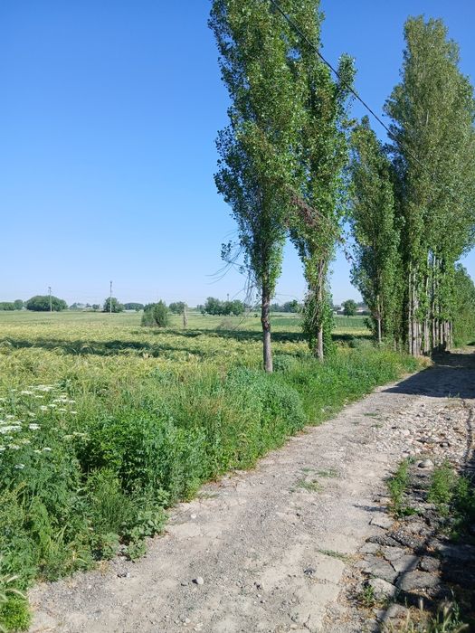 Продаёться участок